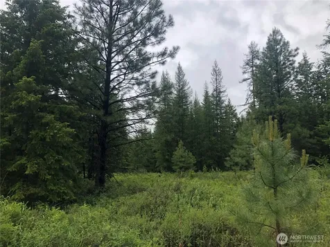 36 Corral Drive Oroville WA 98844