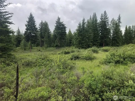 36 Corral Drive Oroville WA 98844