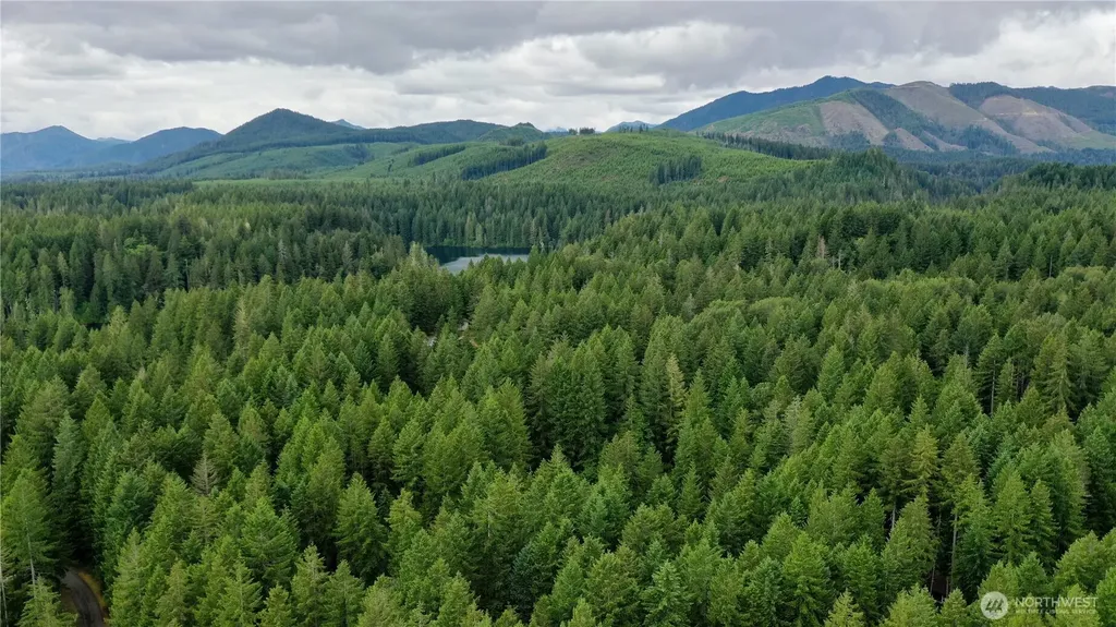 120 N Kokanee Cove Way Hoodsport WA 98548