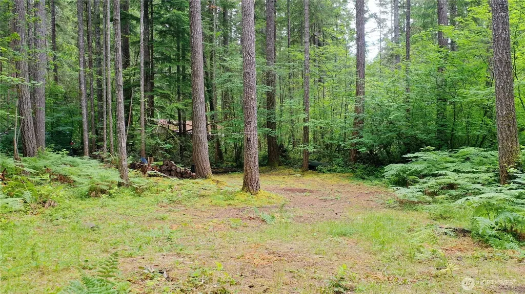 120 N Kokanee Cove Way Hoodsport WA 98548