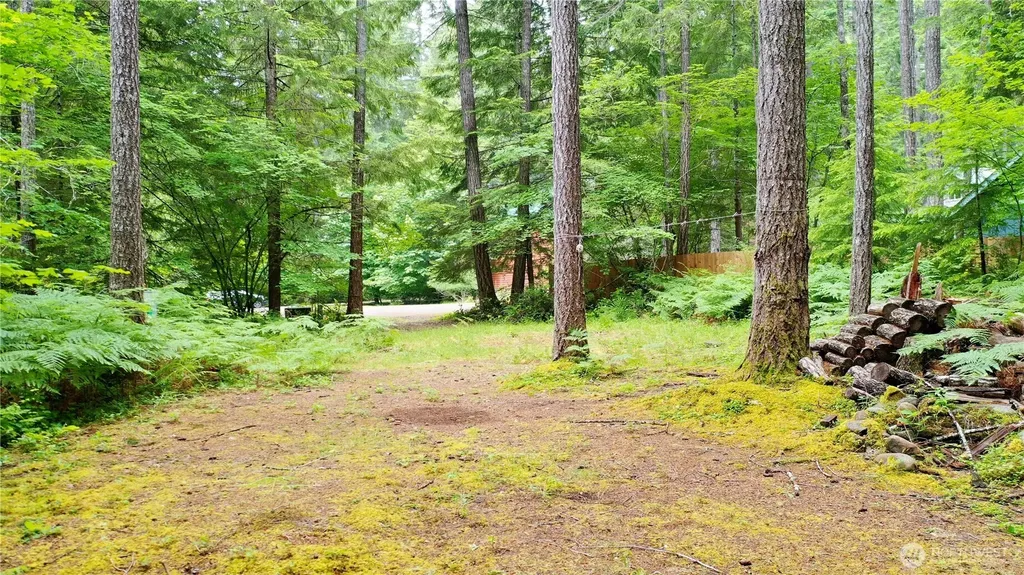 120 N Kokanee Cove Way Hoodsport WA 98548