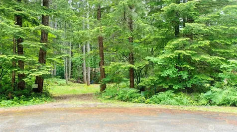 120 N Kokanee Cove Way Hoodsport WA 98548