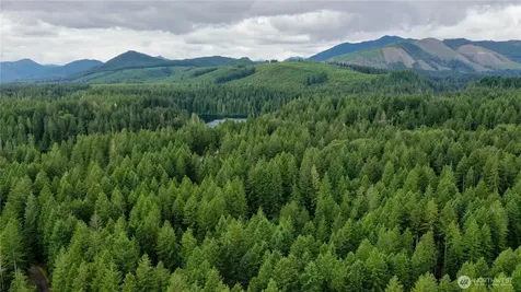 120 N Kokanee Cove Way Hoodsport WA 98548
