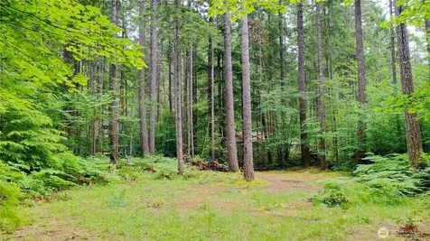120 N Kokanee Cove Way Hoodsport WA 98548
