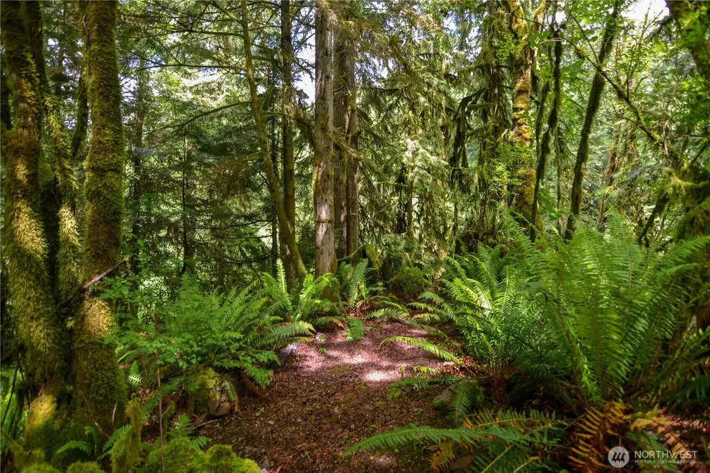 21605 Lake Fontal Road Monroe WA 98272