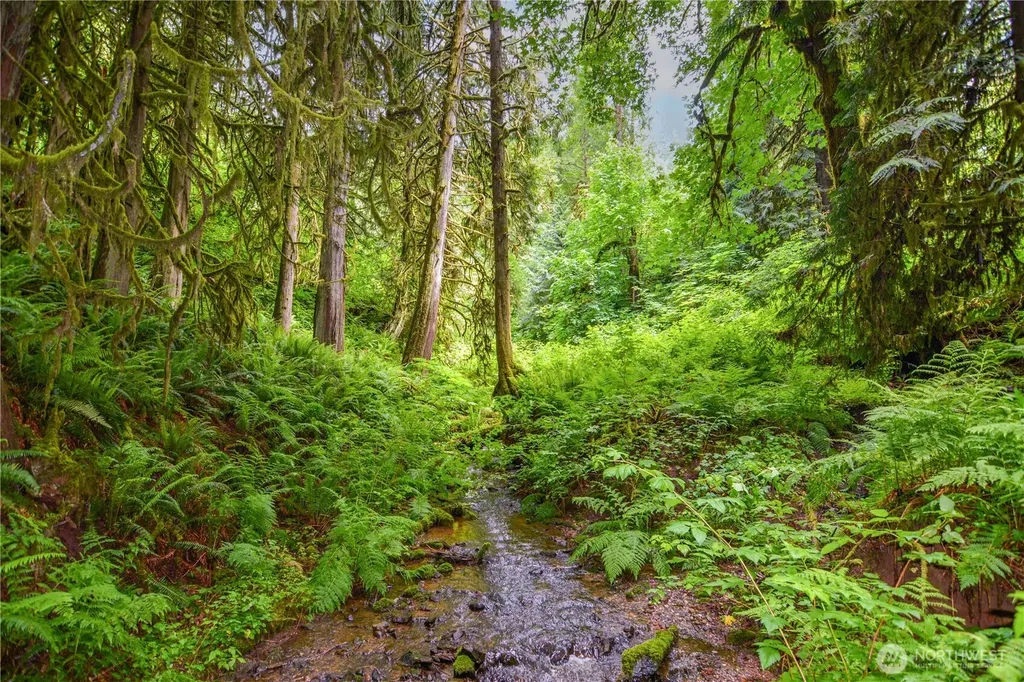 21605 Lake Fontal Road Monroe WA 98272