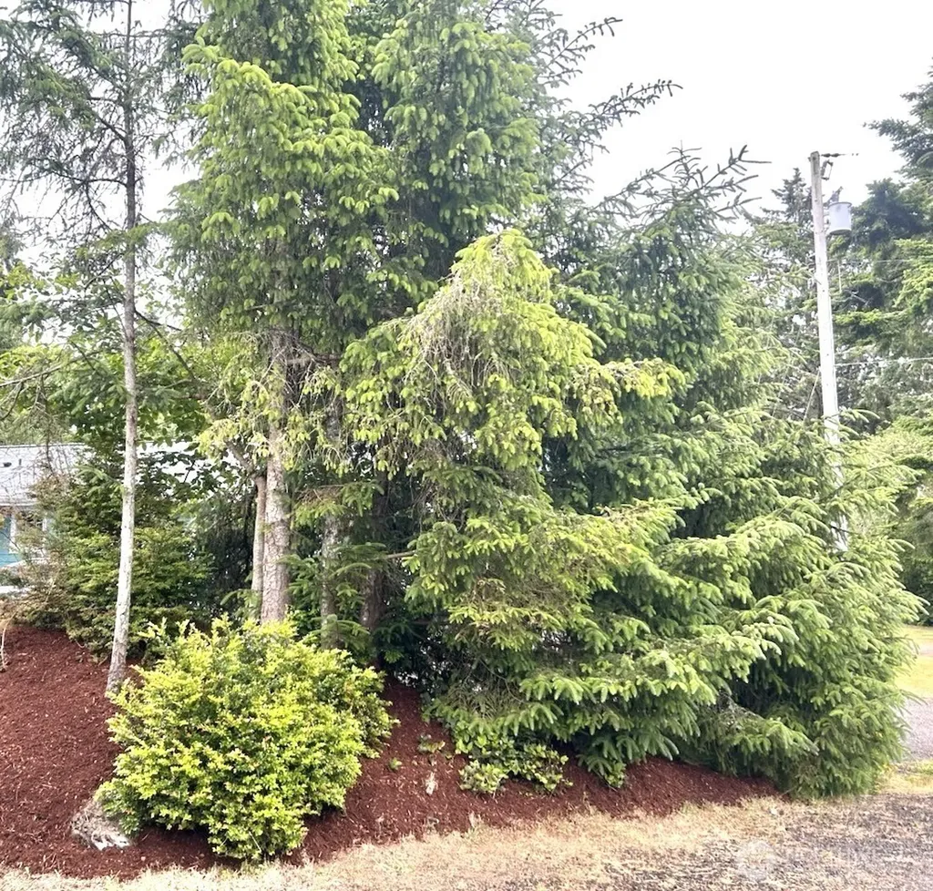 708 Eider Court SE Ocean Shores WA 98569