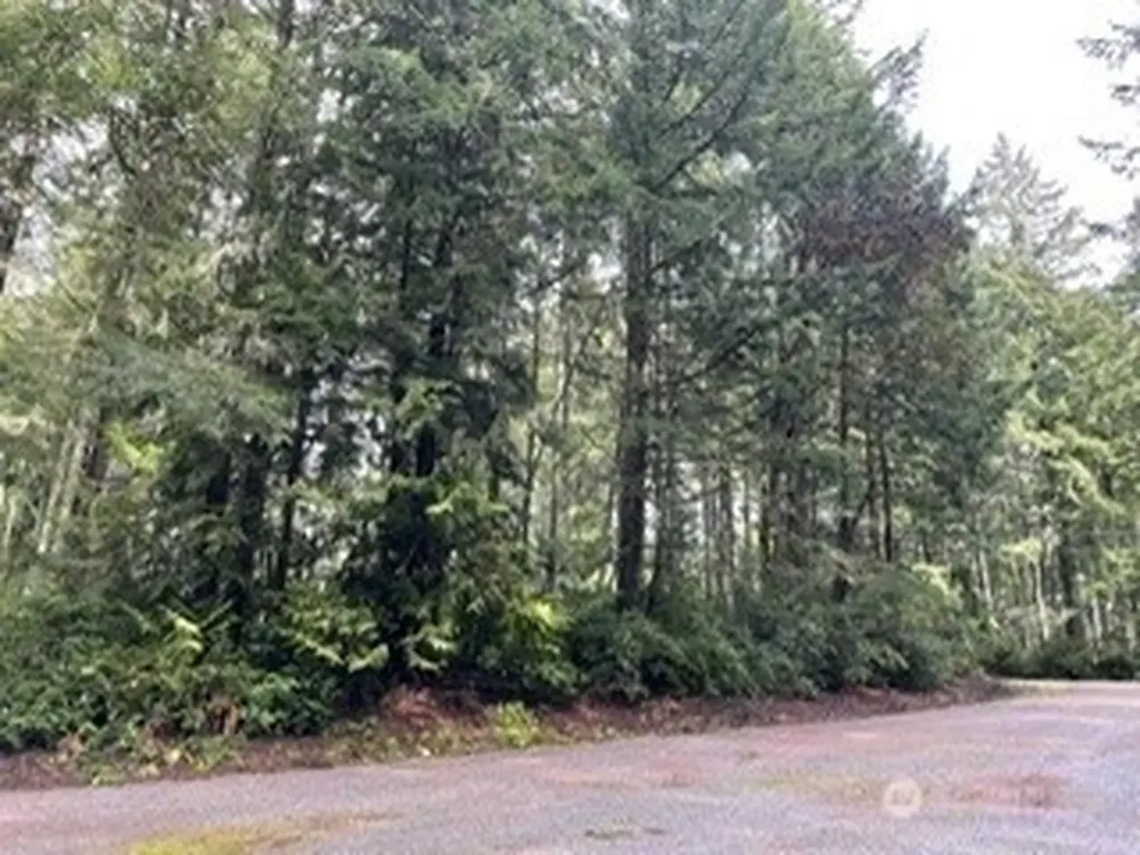 11307 114th Street Court Anderson Island WA 98303