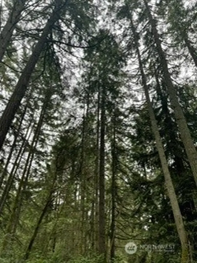 11307 114th Street Court Anderson Island WA 98303