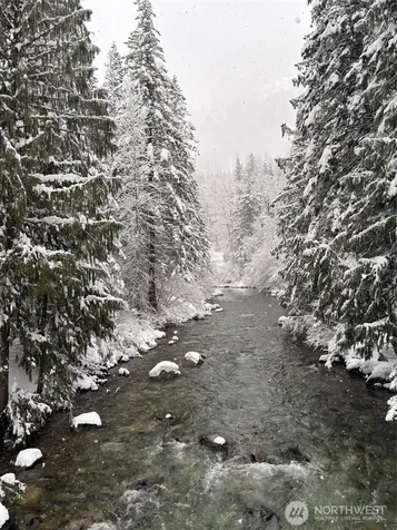19045 Gill Creek Lake Wenatchee WA 98826