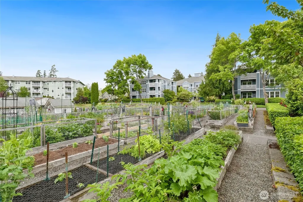 4133 224 Lane SE Issaquah WA 98029