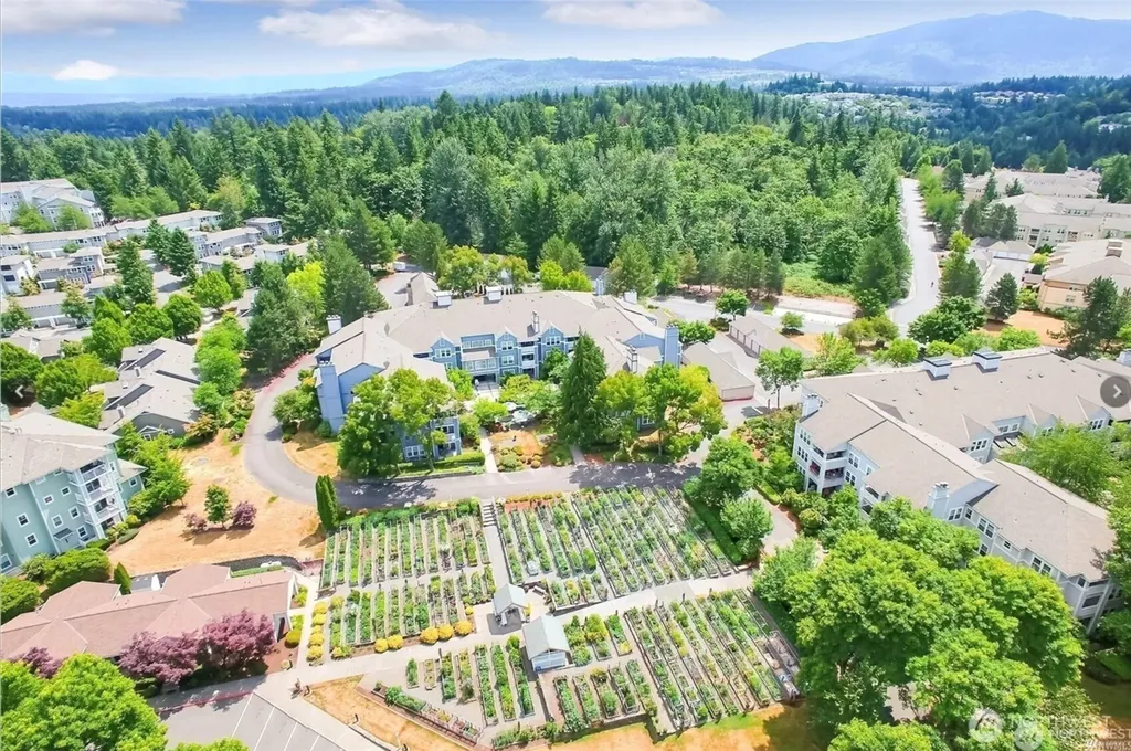 4133 224 Lane SE Issaquah WA 98029