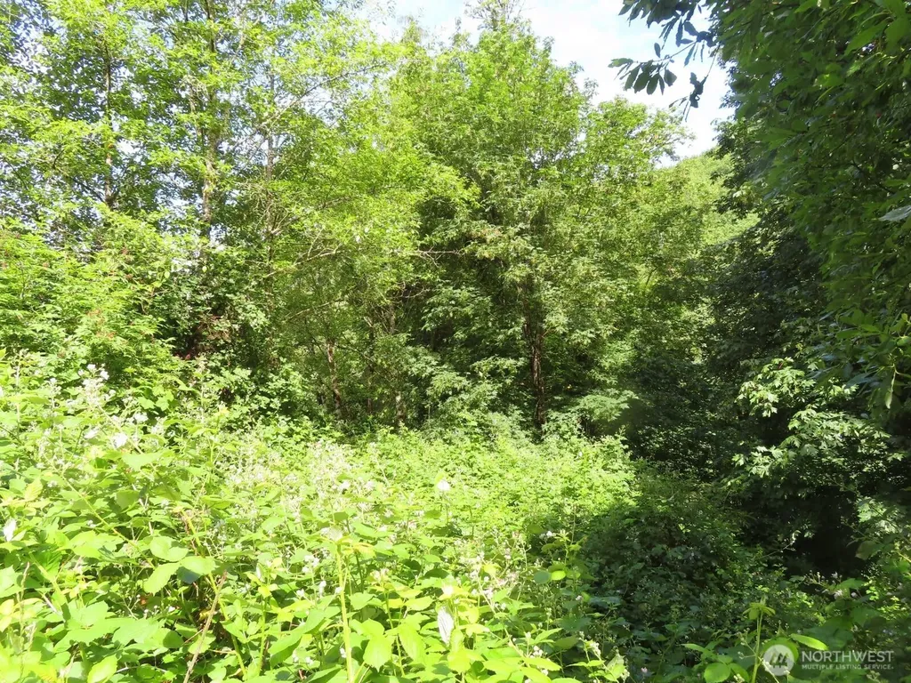 0 Sylvan Way Longview WA 98632