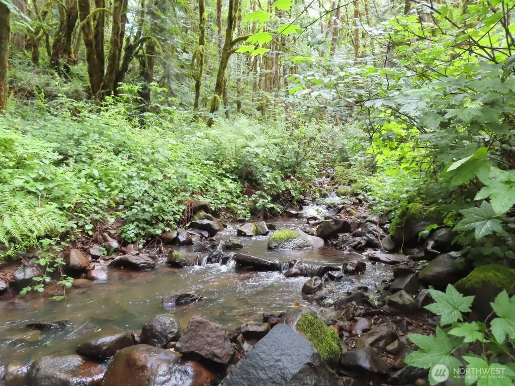0 Sylvan Way Longview WA 98632