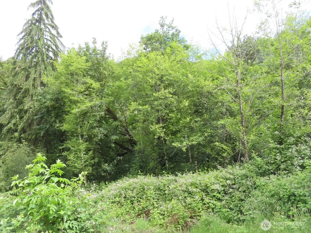 0 Sylvan Way Longview WA 98632