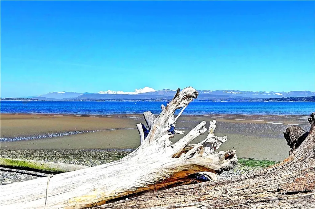 1212 View Street Camano Island WA 98282