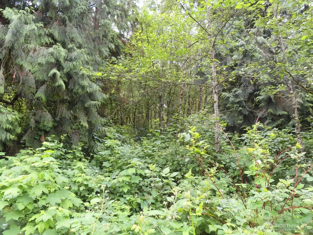 0 Sylvan Way Longview WA 98632