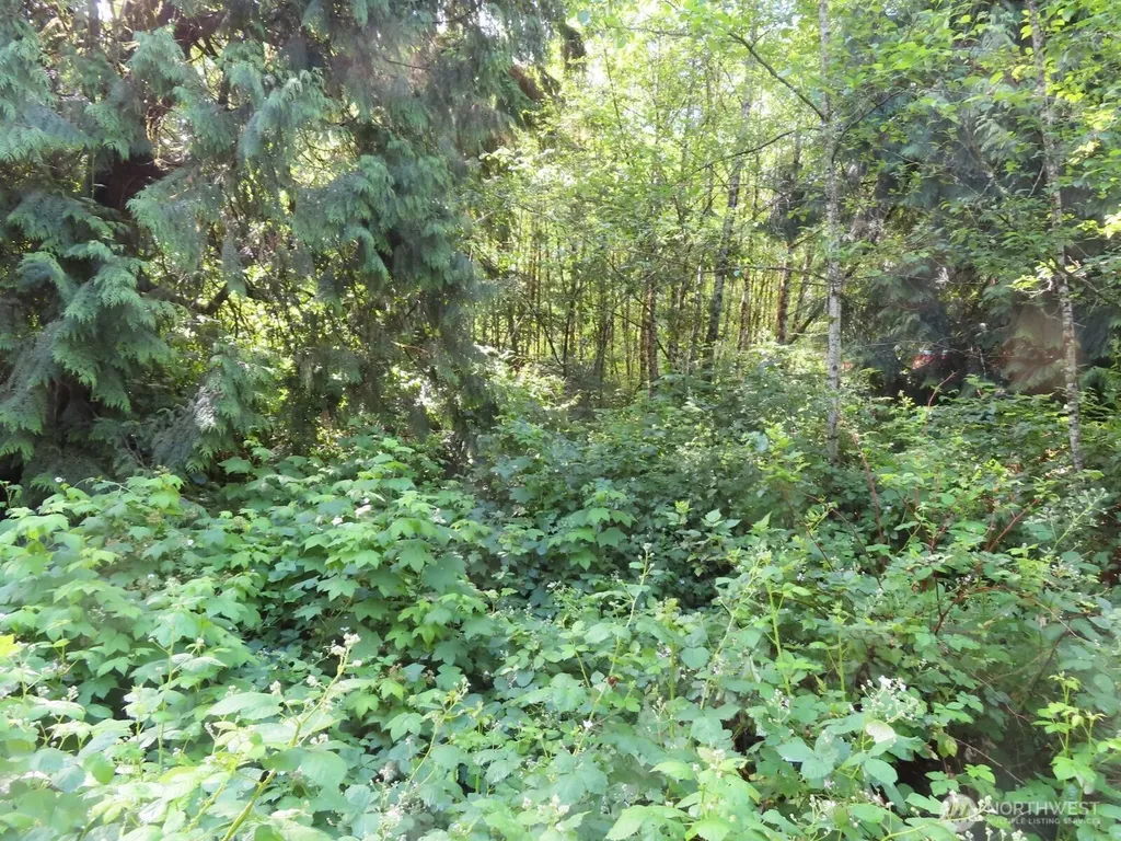 0 Sylvan Way Longview WA 98632