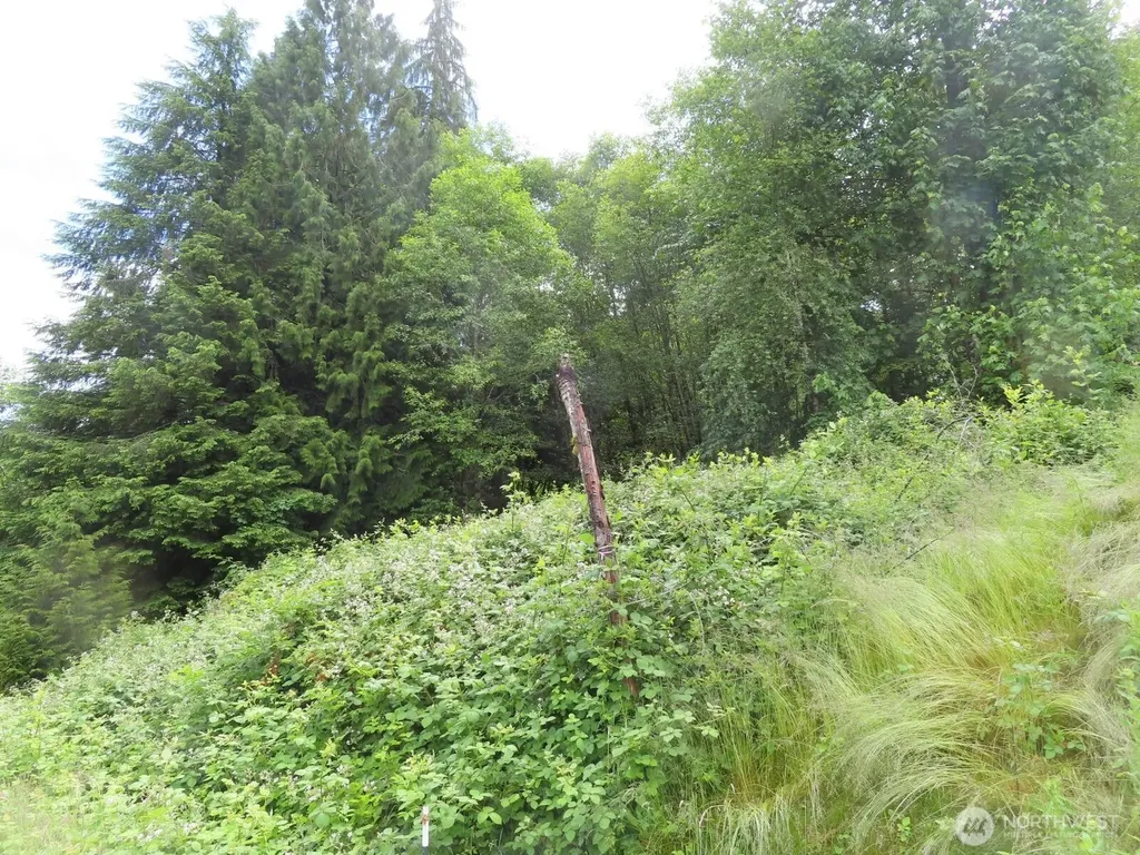 0 Sylvan Way Longview WA 98632