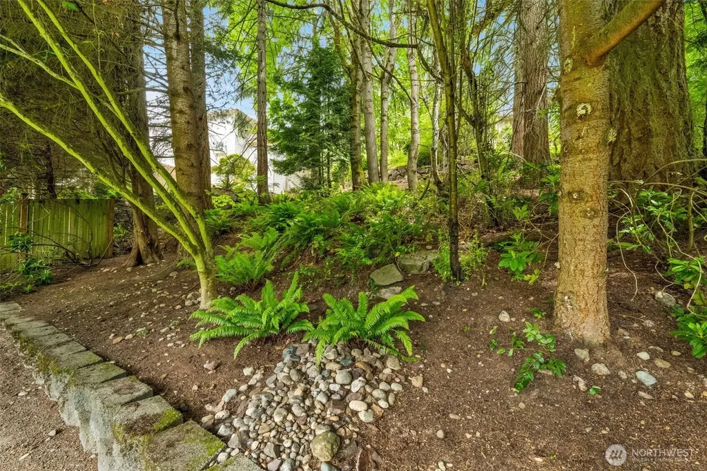 15454 SE 67th Street Bellevue WA 98006