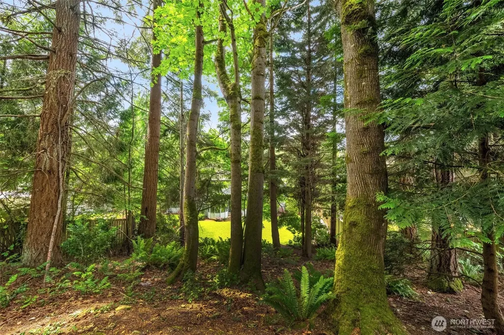15454 SE 67th Street Bellevue WA 98006