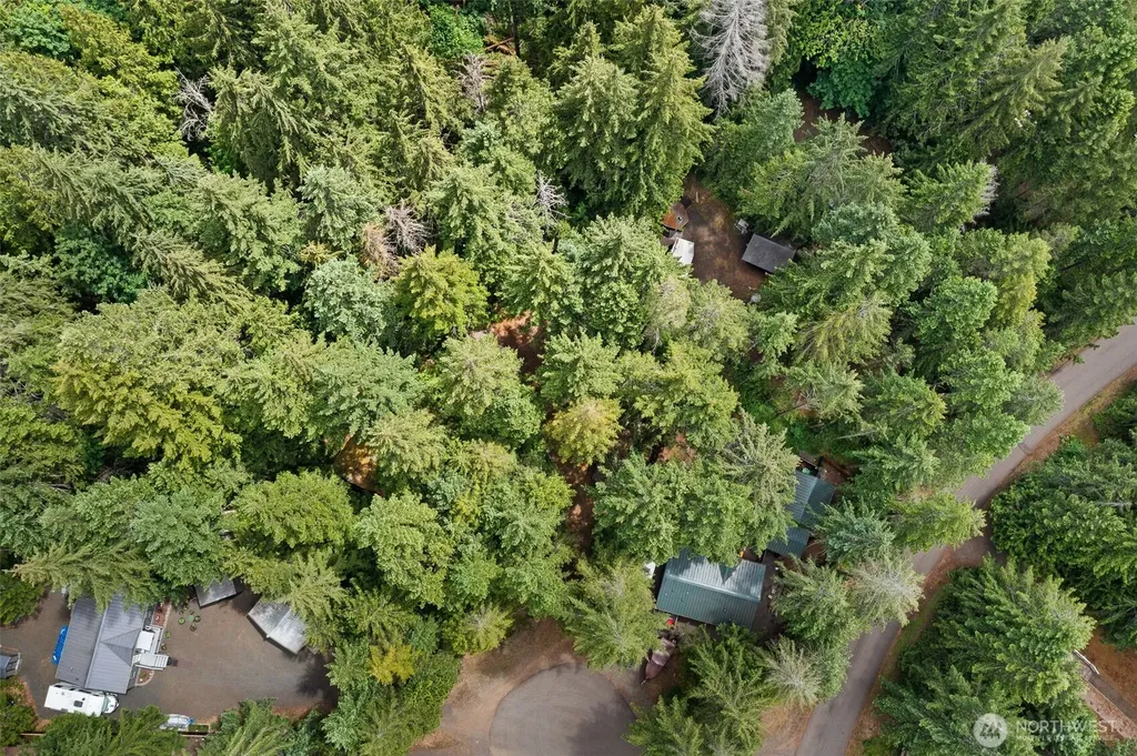 20 N Mount Jupiter Court Hoodsport WA 98548