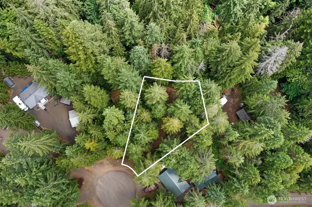 20 N Mount Jupiter Court Hoodsport WA 98548