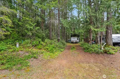 20 N Mount Jupiter Court Hoodsport WA 98548