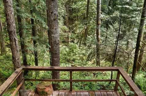 20 N Mount Jupiter Court Hoodsport WA 98548