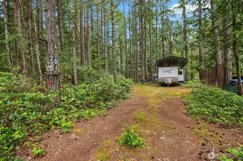 20 N Mount Jupiter Court Hoodsport WA 98548