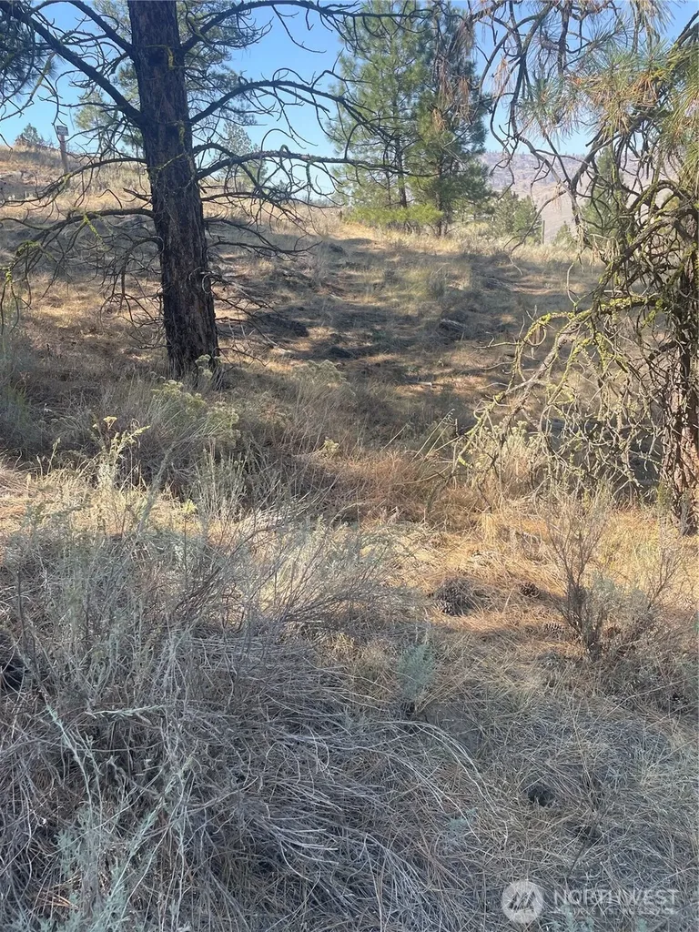 0 Reevas Basin Road Tonasket WA 98855