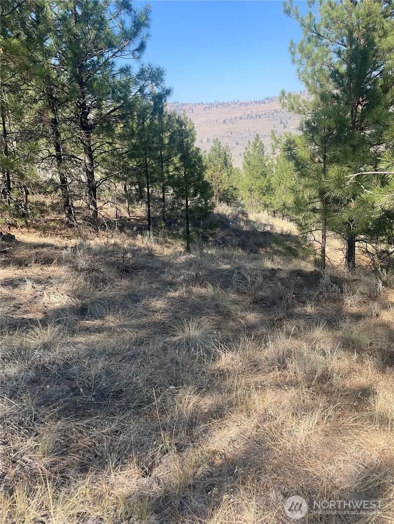 0 Reevas Basin Road Tonasket WA 98855
