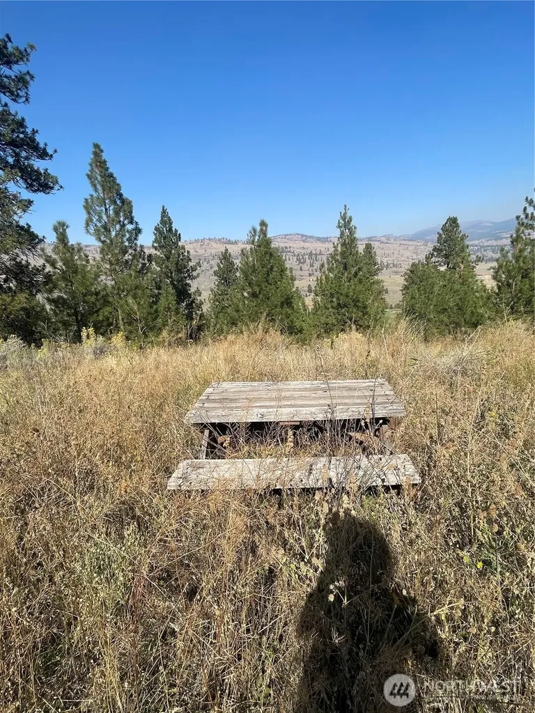 0 Reevas Basin Road Tonasket WA 98855