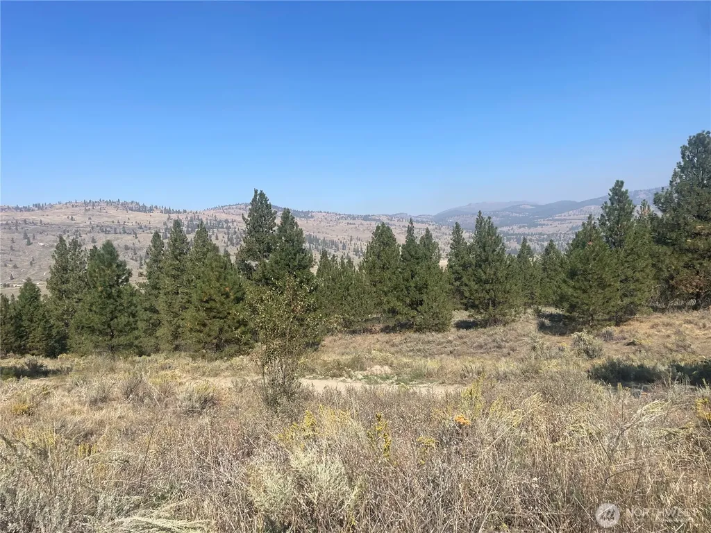 0 Reevas Basin Road Tonasket WA 98855