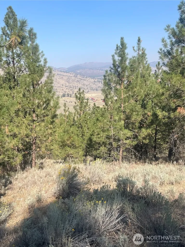 0 Reevas Basin Road Tonasket WA 98855