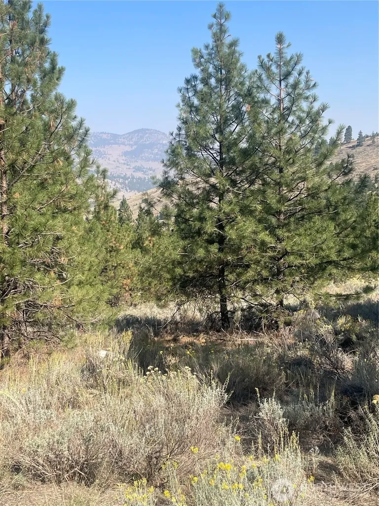 0 Reevas Basin Road Tonasket WA 98855