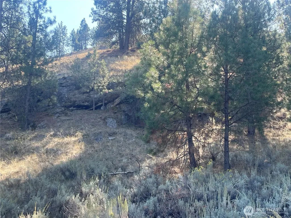 0 Reevas Basin Road Tonasket WA 98855