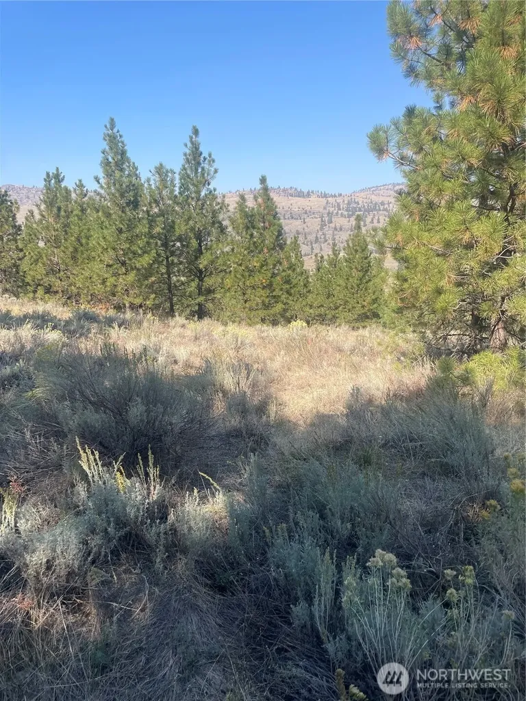 0 Reevas Basin Road Tonasket WA 98855