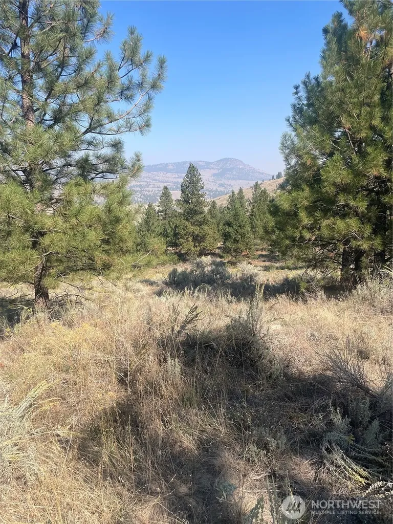 0 Reevas Basin Road Tonasket WA 98855