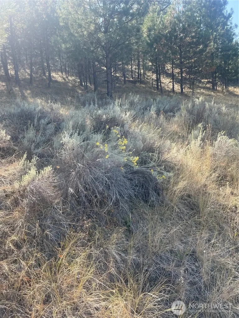 0 Reevas Basin Road Tonasket WA 98855