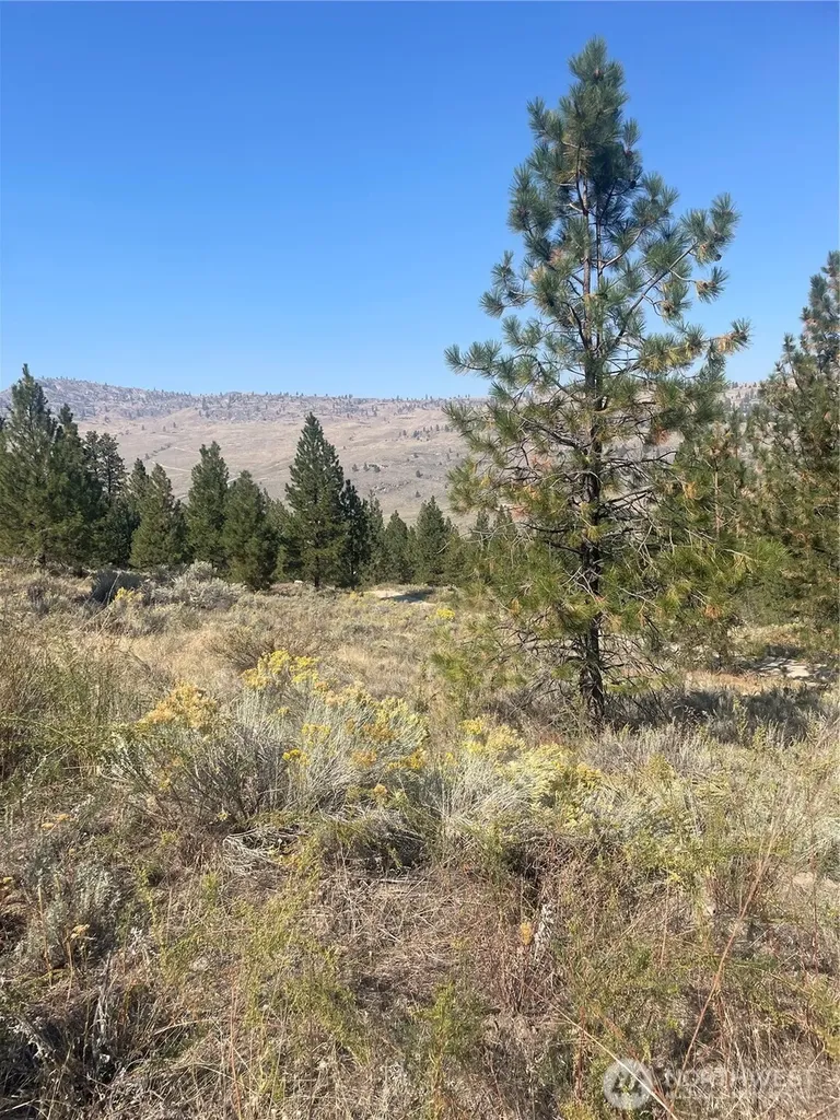 0 Reevas Basin Road Tonasket WA 98855