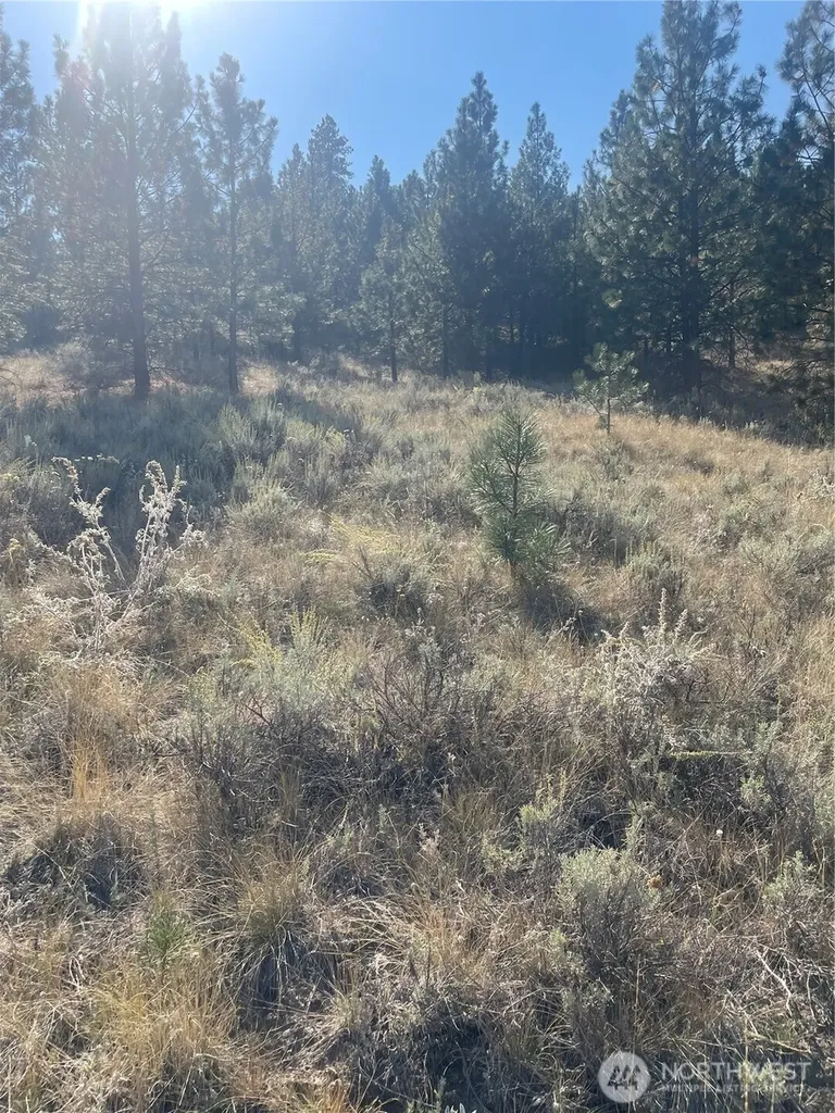 0 Reevas Basin Road Tonasket WA 98855