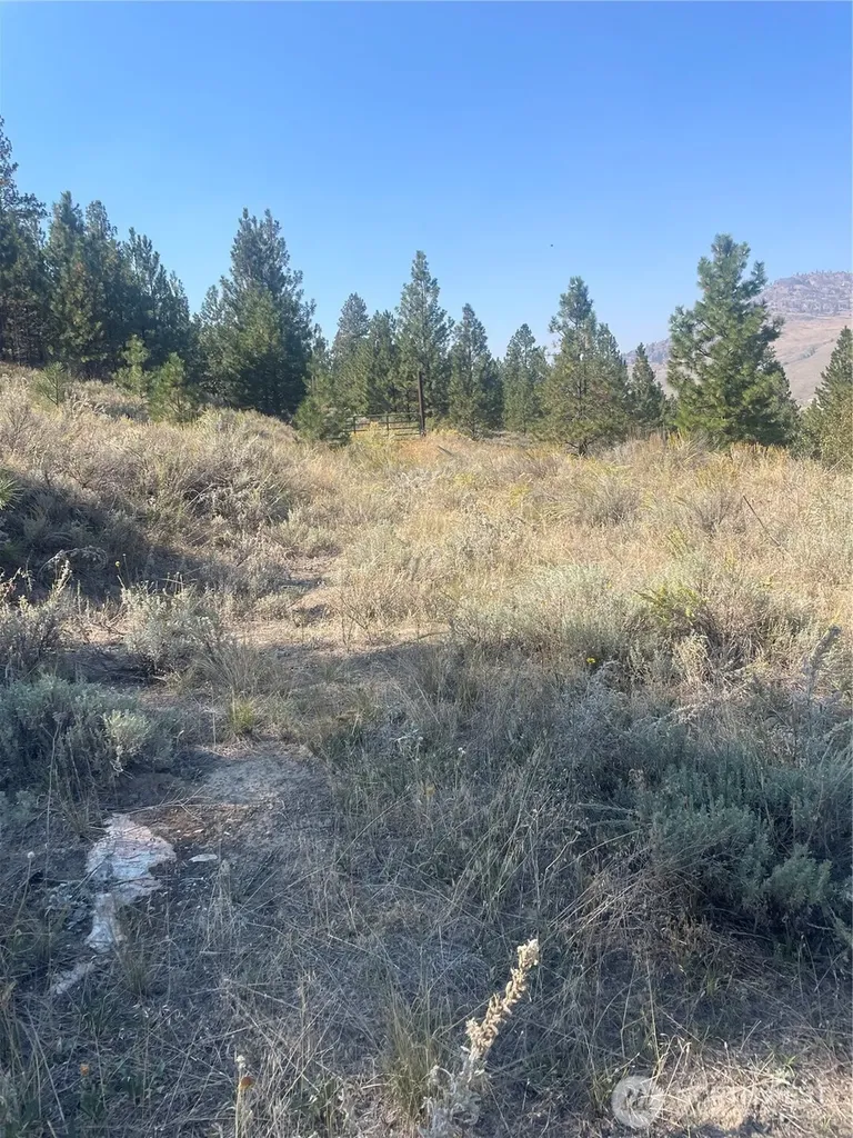 0 Reevas Basin Road Tonasket WA 98855
