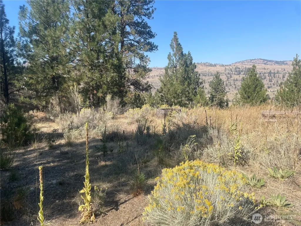 0 Reevas Basin Road Tonasket WA 98855
