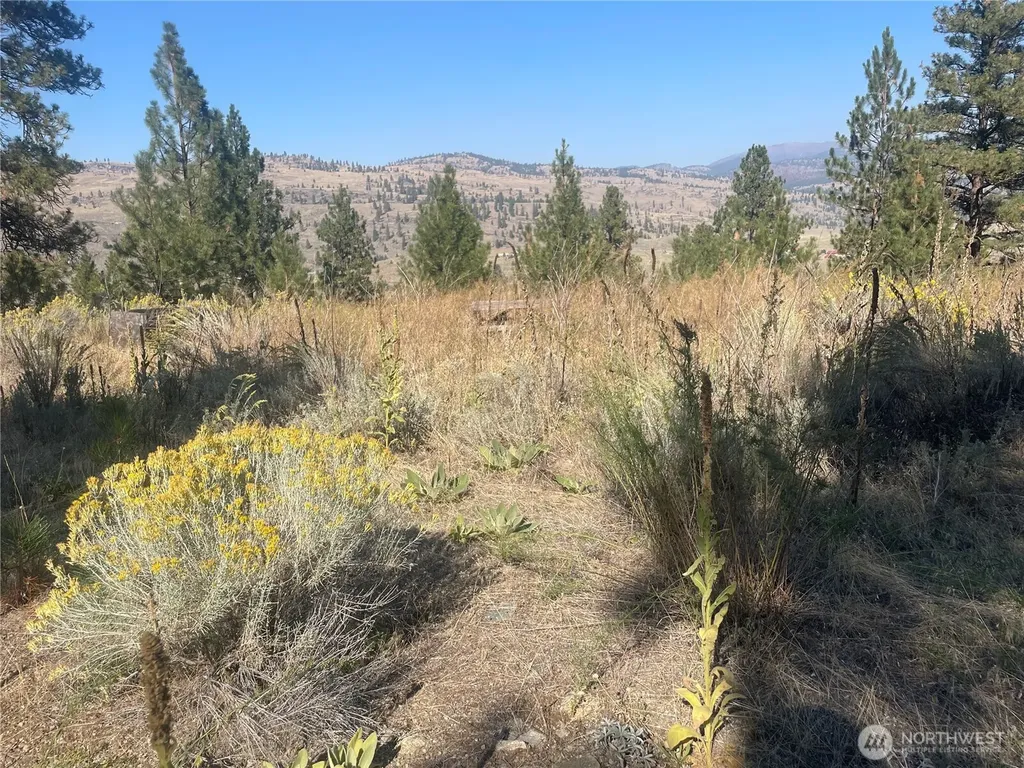 0 Reevas Basin Road Tonasket WA 98855