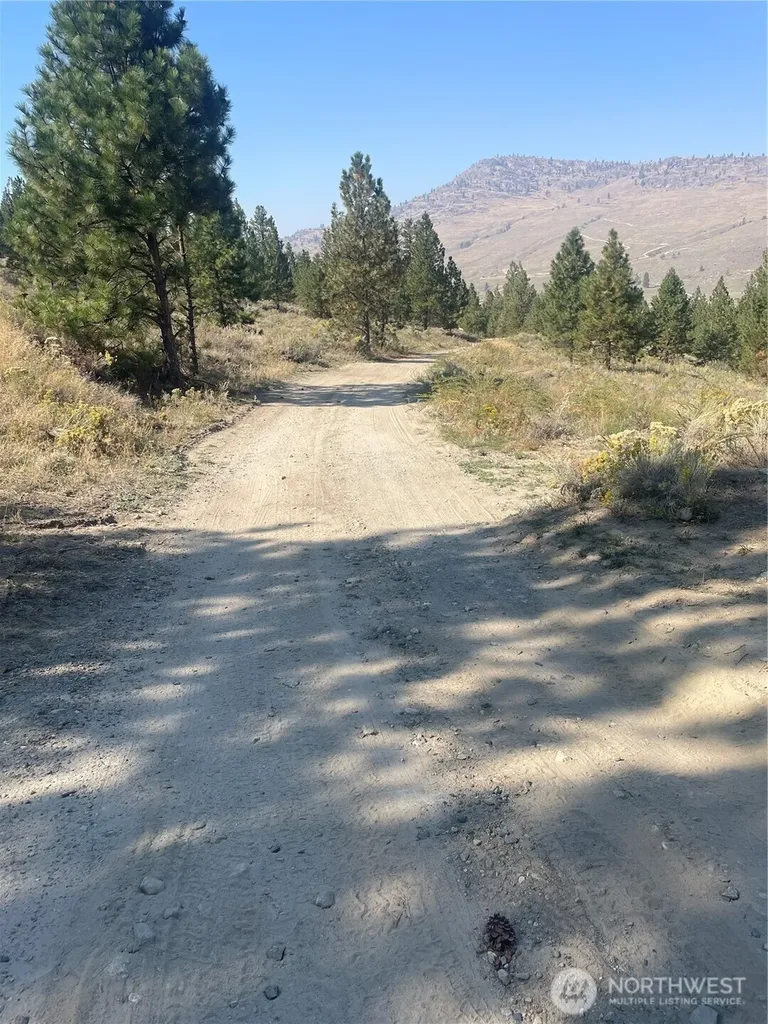 0 Reevas Basin Road Tonasket WA 98855