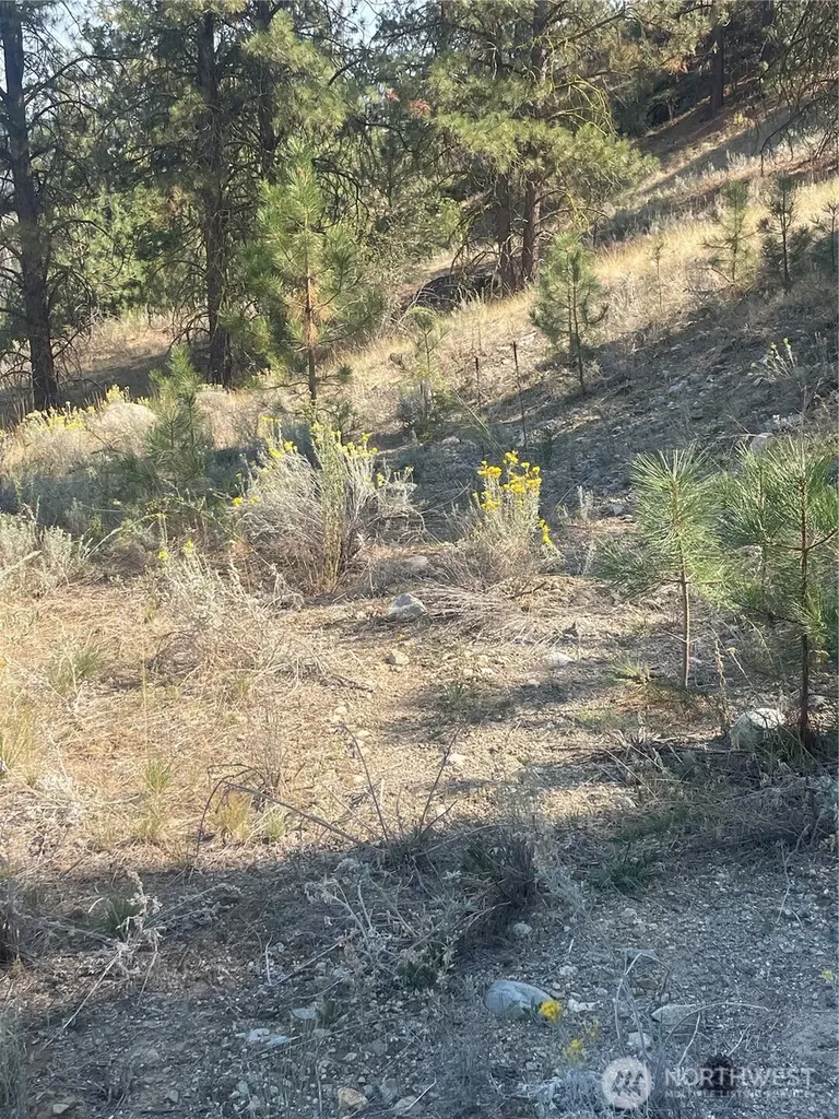 0 Reevas Basin Road Tonasket WA 98855