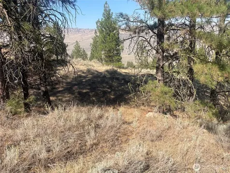 0 Reevas Basin Road Tonasket WA 98855