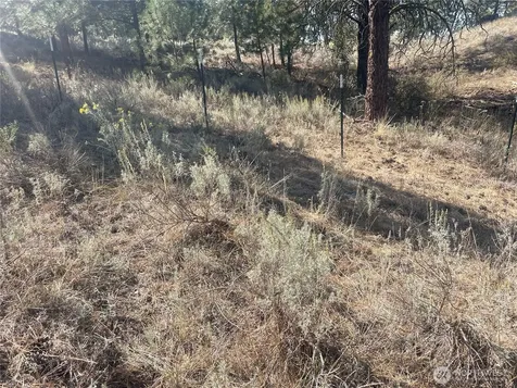 0 Reevas Basin Road Tonasket WA 98855