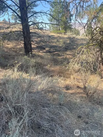 0 Reevas Basin Road Tonasket WA 98855